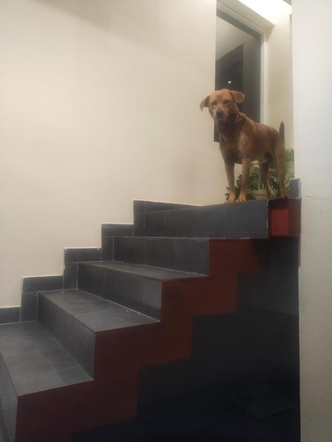 Two Bedroom House Madikeri Eksteriør bilde